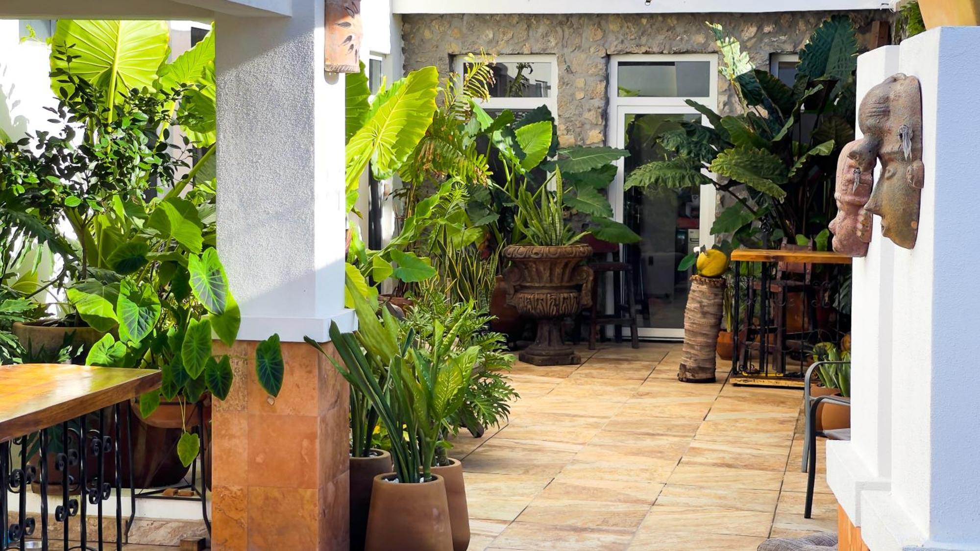 Quinta Alberto Boutique Hotel San Blas Luaran gambar
